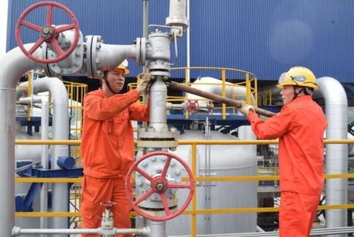 10个月 中国石化涪陵lng工厂投产运行纪实