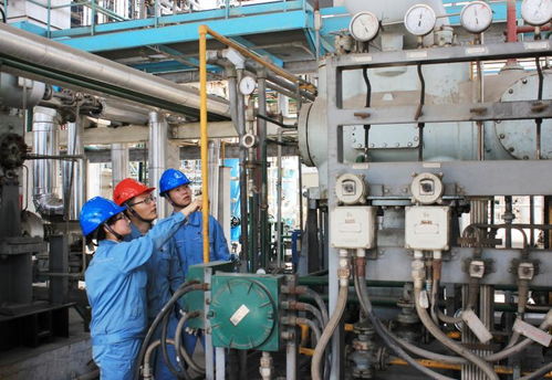 高桥石化 打造安全绿色领先的城市型工厂