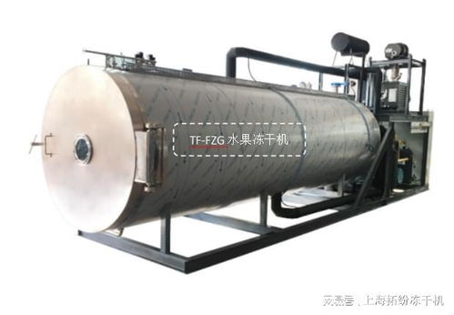 水果冻干机生产线交付贵州用户投产使用